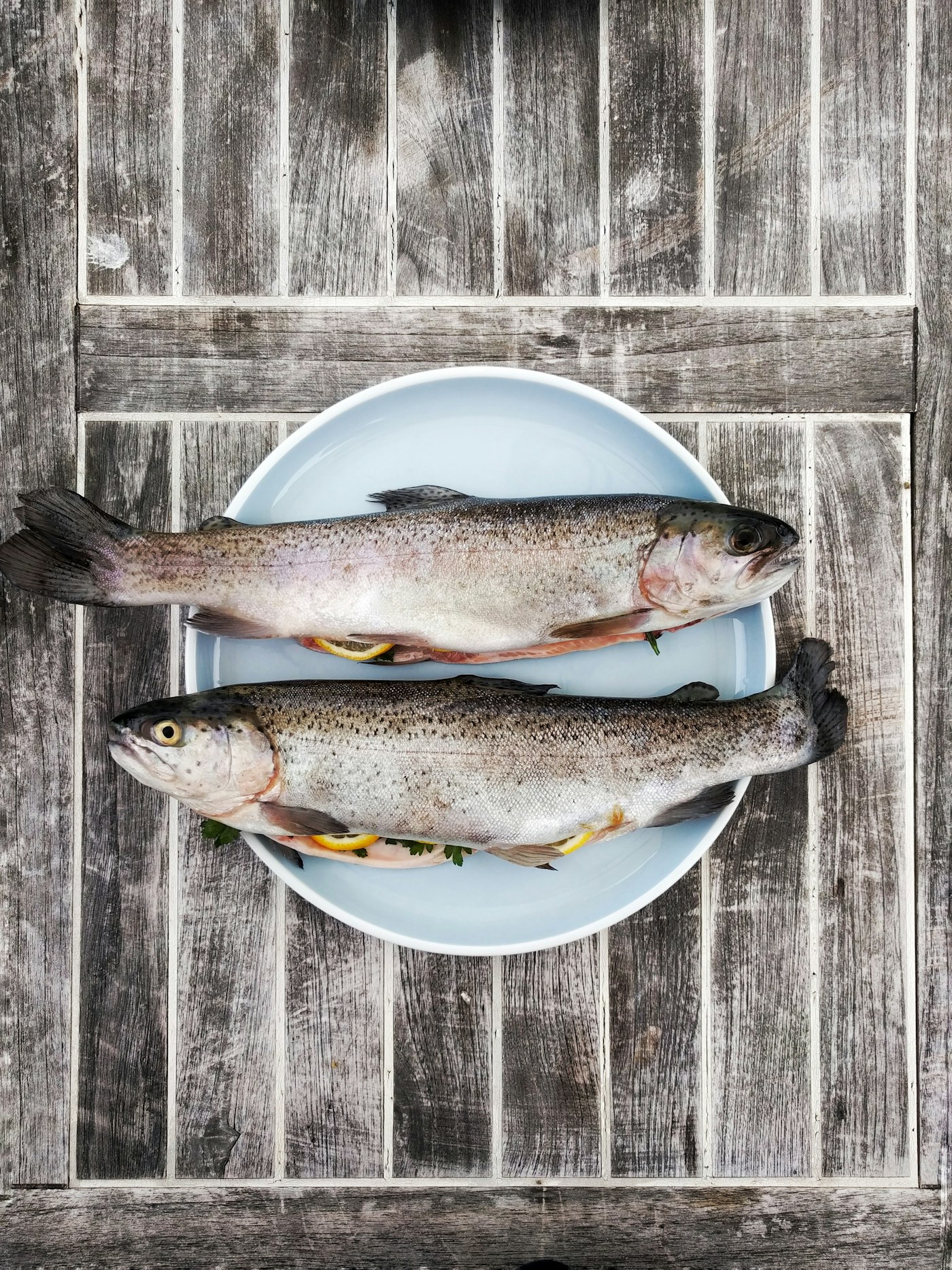 Omega 3 a šport: Prečo ich športovci systematicky podceňujú — a pritom by nemali